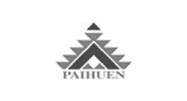Hotel Paihuen