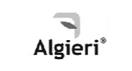 Algieri